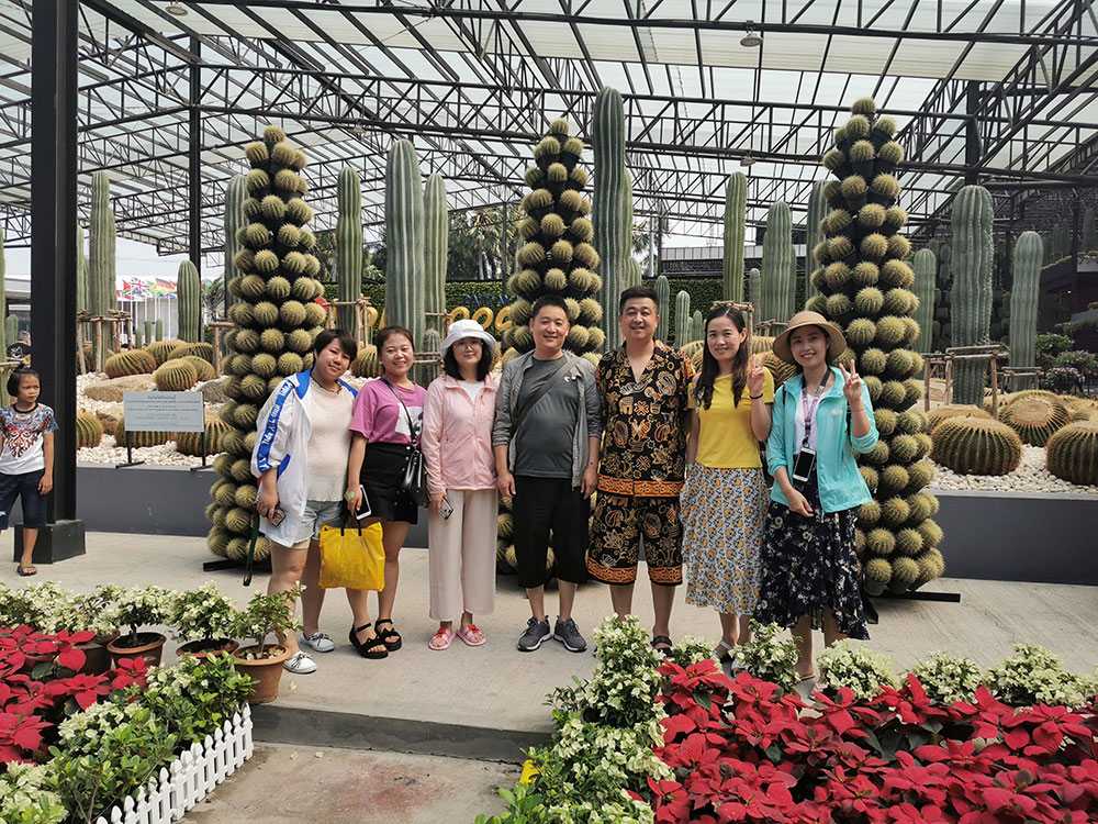 出發(fā)在鴻成，暢爽泰國游(圖3)